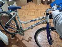 Bicicleta Whitney esmaltina
