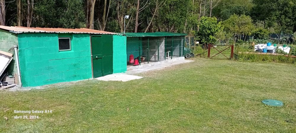 Hotel para Cães Caldas da Rainha - Sao Martinho do Porto  - Foz Arelho