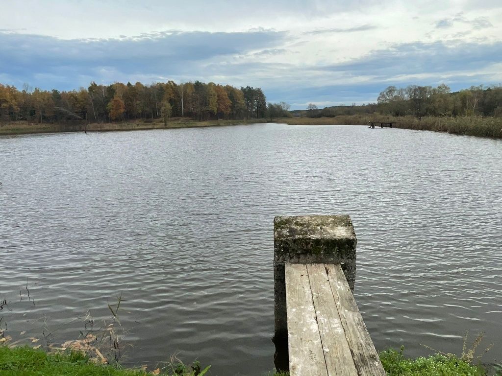 Stawy hodowlane agroturystyka działka