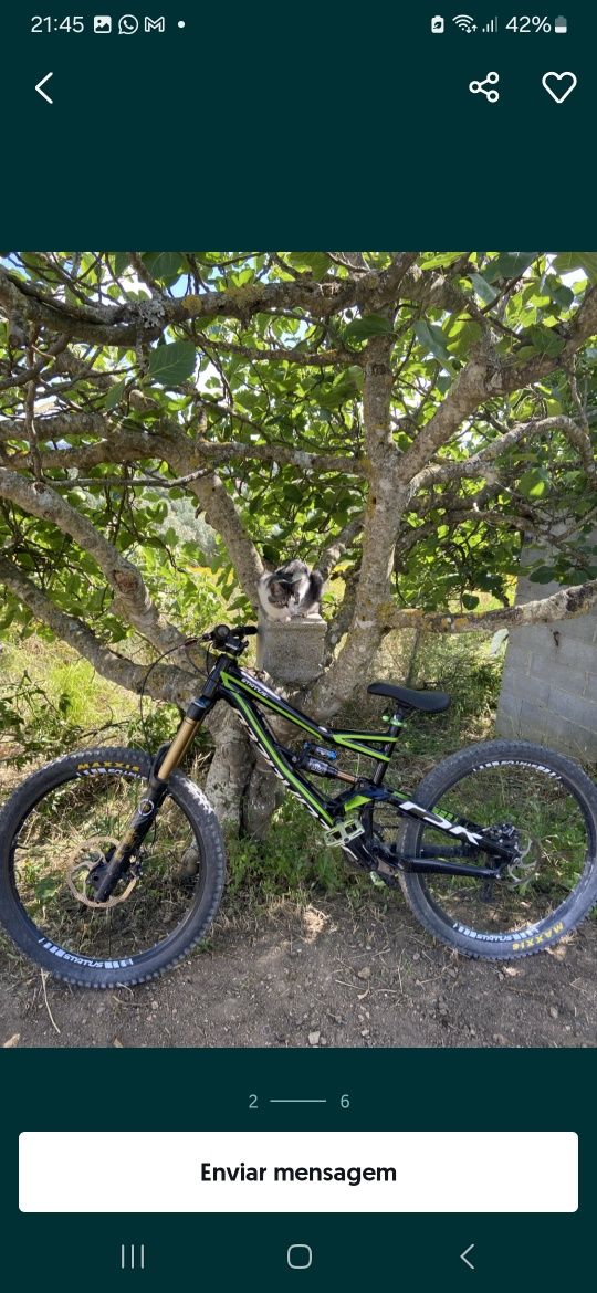 Specialized status 1 2012