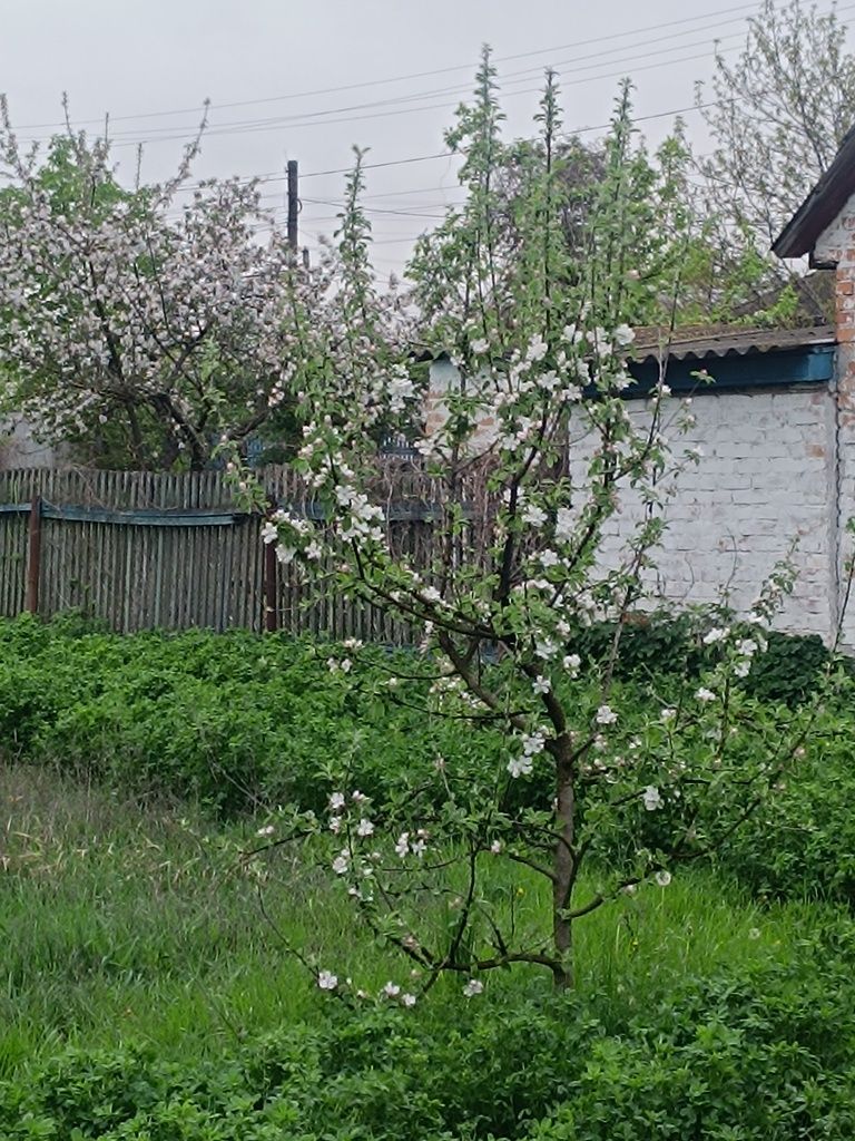 Земельна ділянка