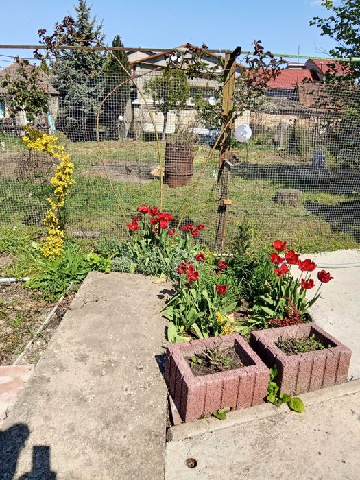 Сдам дом в Фонтанка 3