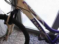 *** Bicicleta Versátil e Confortável à Venda ***