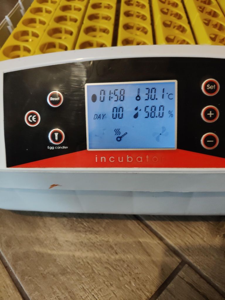 Inkubator na jajka 56 szt