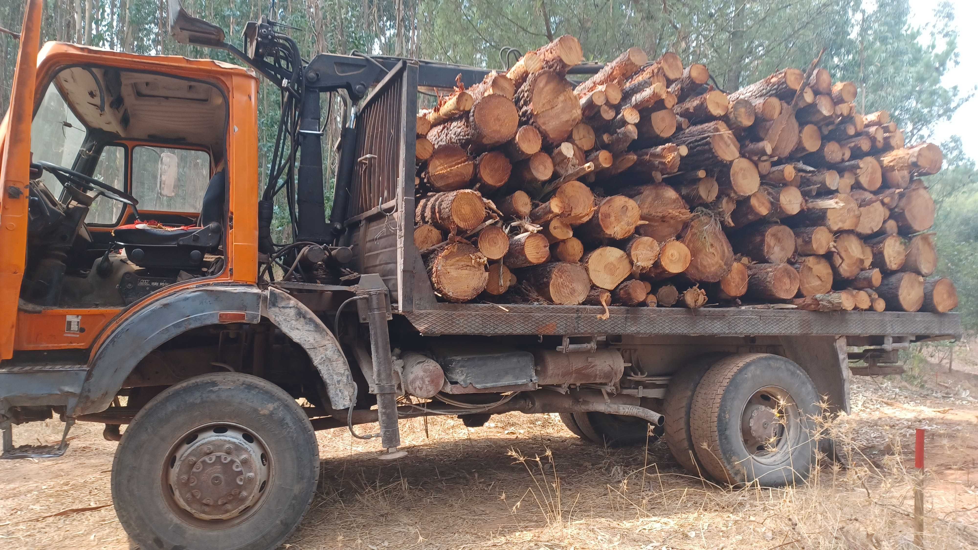 Aparas,materiais de aquecimento,compra de madeiras em pé