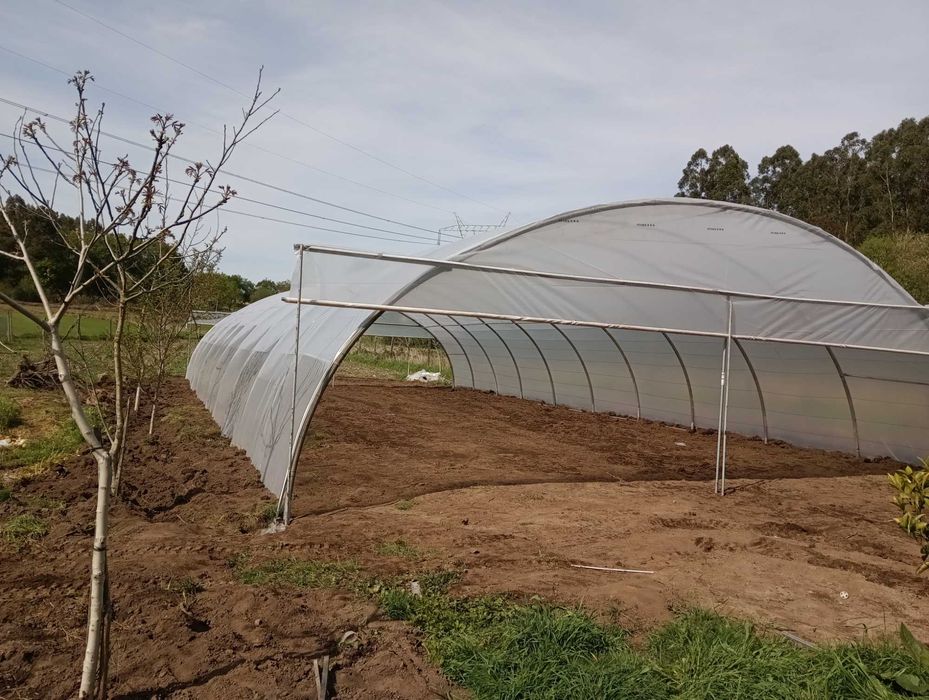 estufas e  armazéns agrícolas