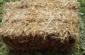 SIANO i SŁOMA w kostkach !!!