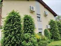 Sprzedam beznis Hostel i restauracja