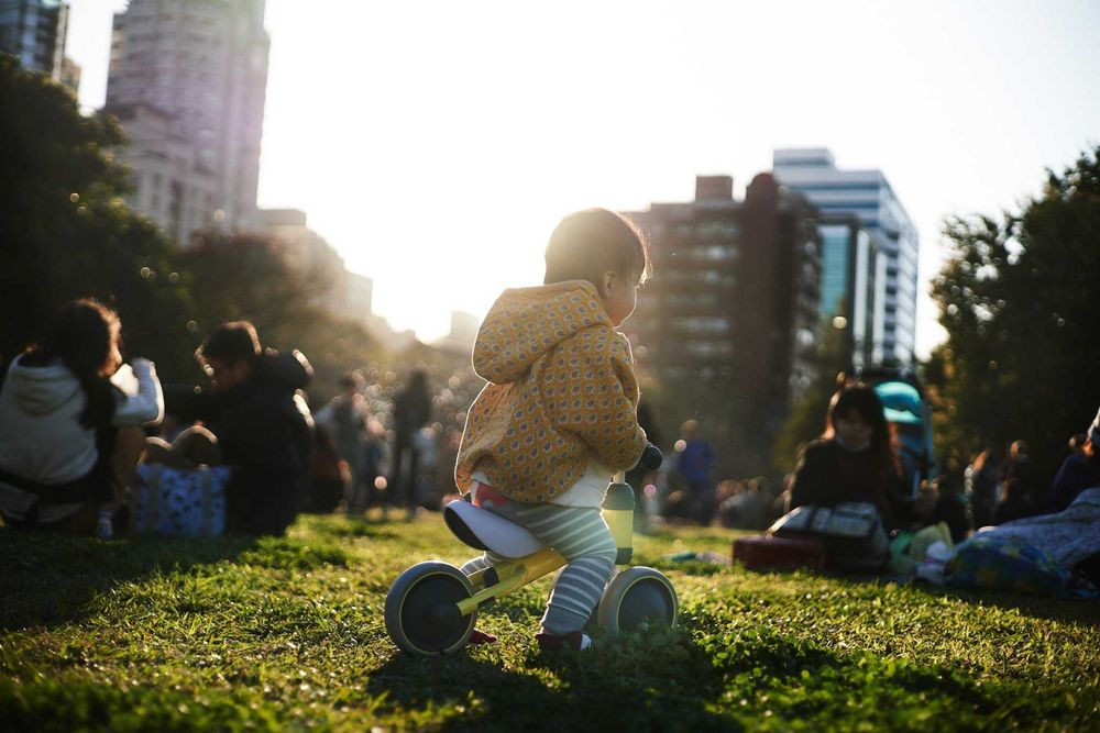 UNIKAT! Carl Zeiss Planar 135mm f/2.0 T* (C/Y) | Absolutny KRÓL BOKEH