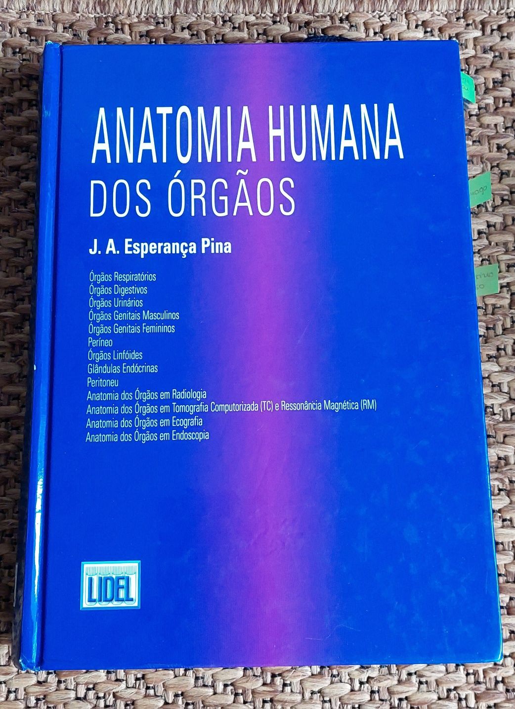 Anatomia Humana dos Órgãos