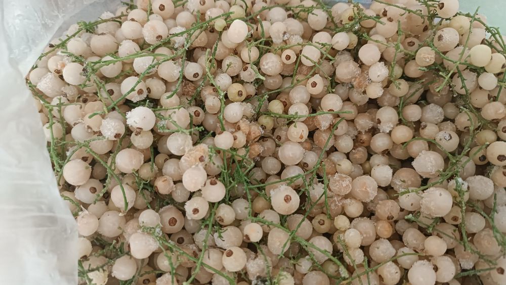 Вишня мороженная