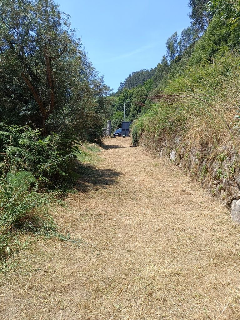 Limpezas de terrenos e jardins