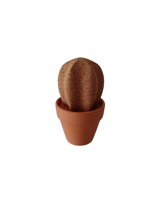 Cacto cortiça com vaso terracota