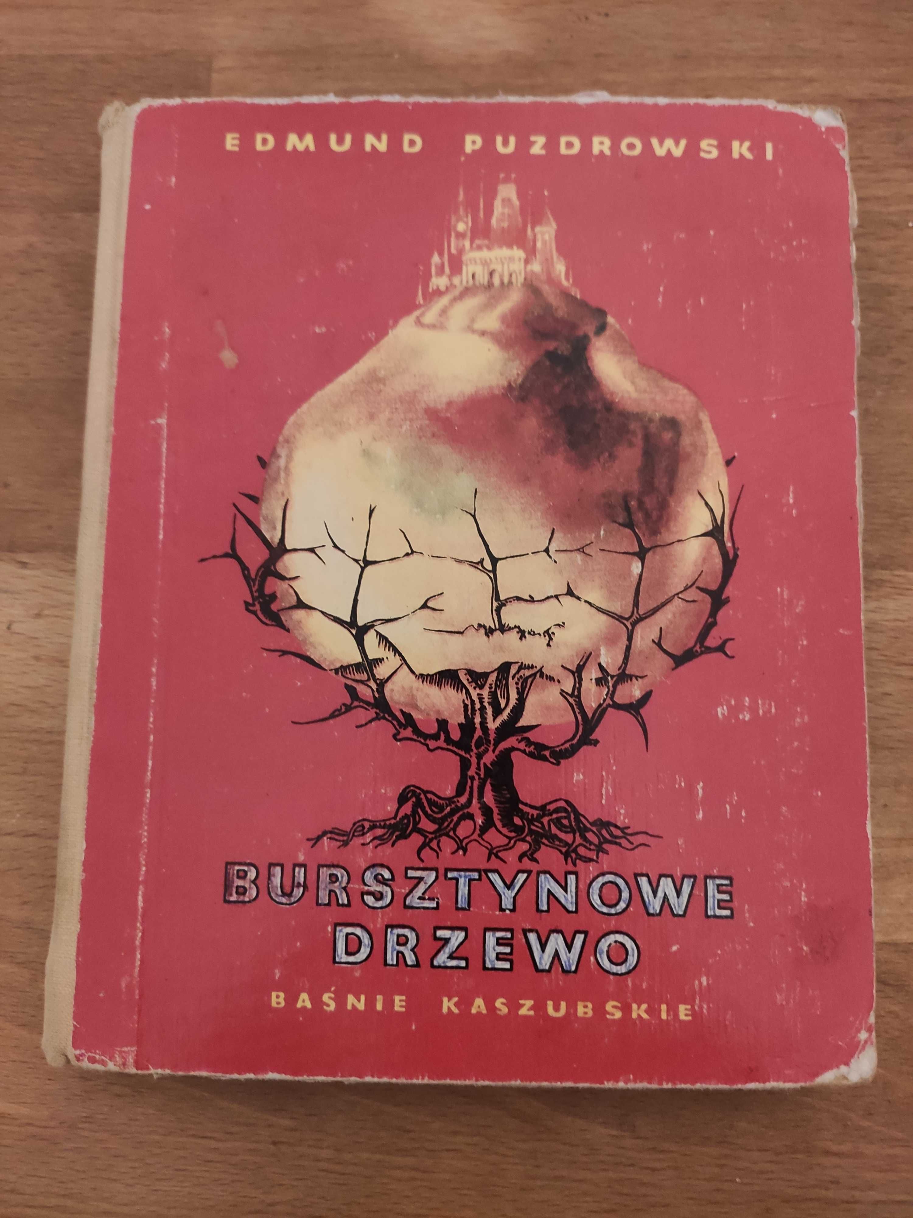 Bursztynowe drzewo, Baśnie Kaszubskie, Edmund Puzdrowski