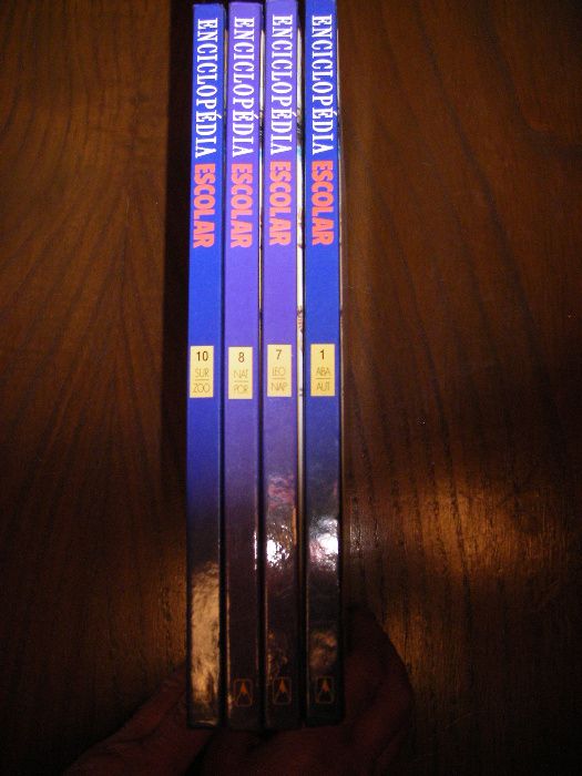 Livros Encicl. Escolar Everest e Enciclopédia Povos e Paises Everest