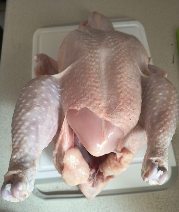 Kurczaki Brojlery Wiejskie