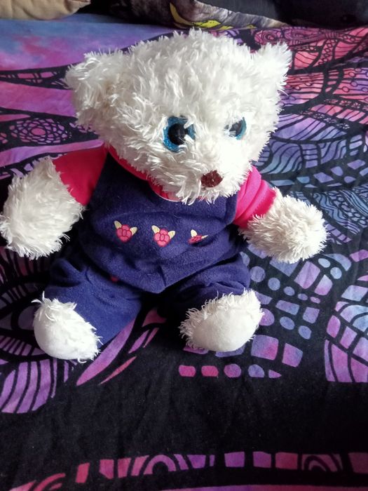 Biały słodki miś w ubranku