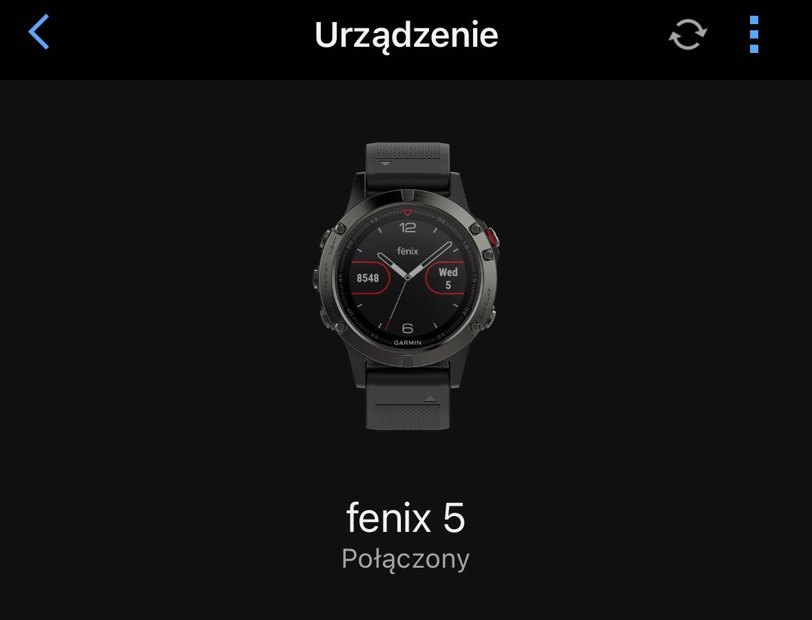 smartwatch Garmin Fenix 5