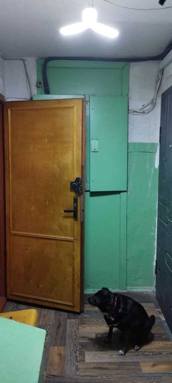 Квартира 3-х комнатная в отличном состоянии