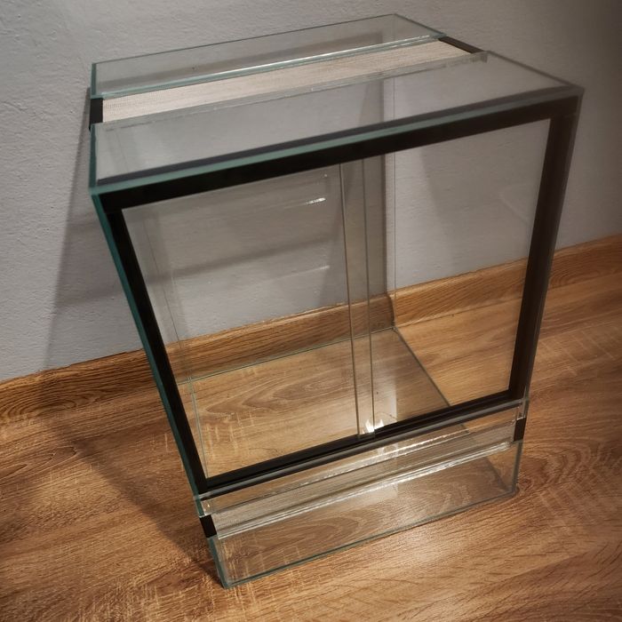 Terrarium modliszka pająk gekon