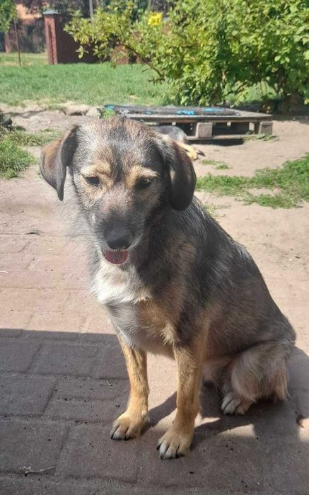 Lusia kochana ok 2 let. sunieczka blaga o dom Wioletta Maś