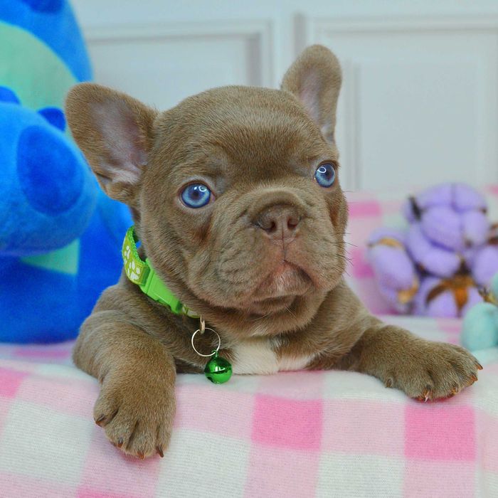 Прекрасні малюки у пошуках люблячих родин!!!