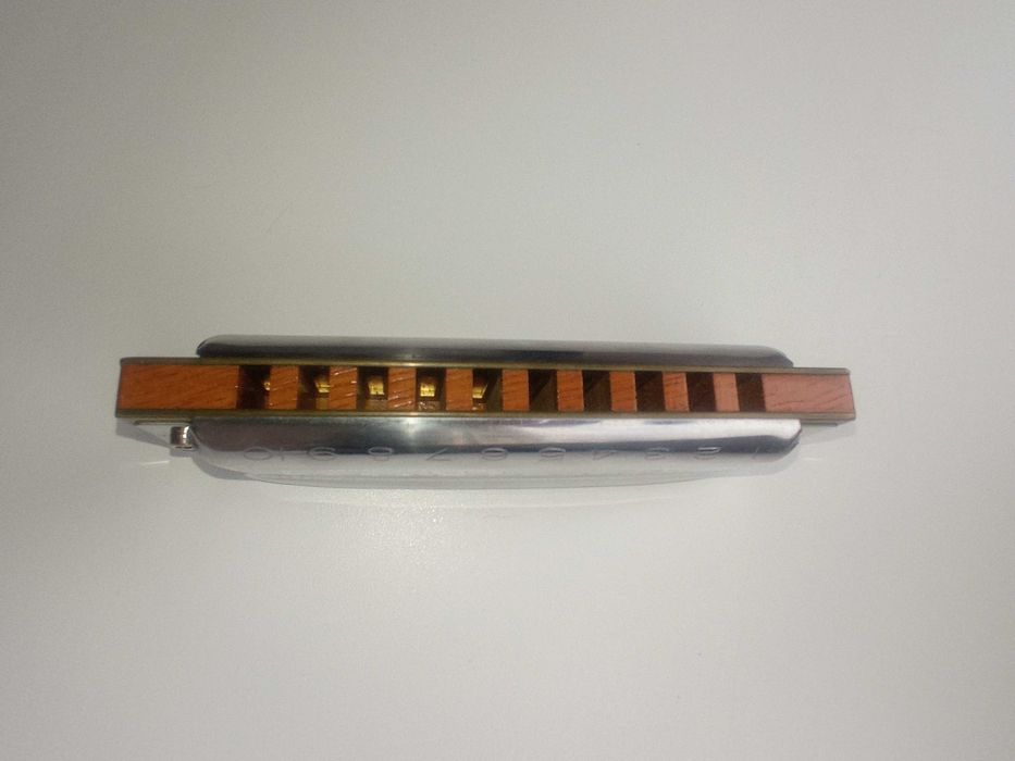 Hohner blues harp Cm