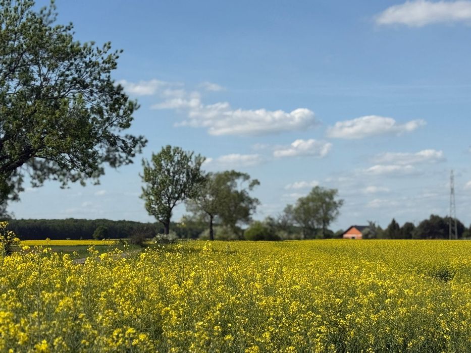 Działka budowlana w Żelaznej 12 a