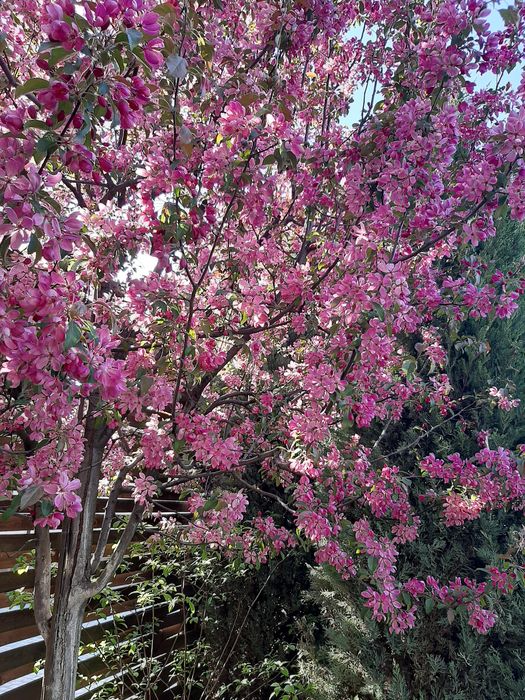 Продам участок на Гагарина, Материк