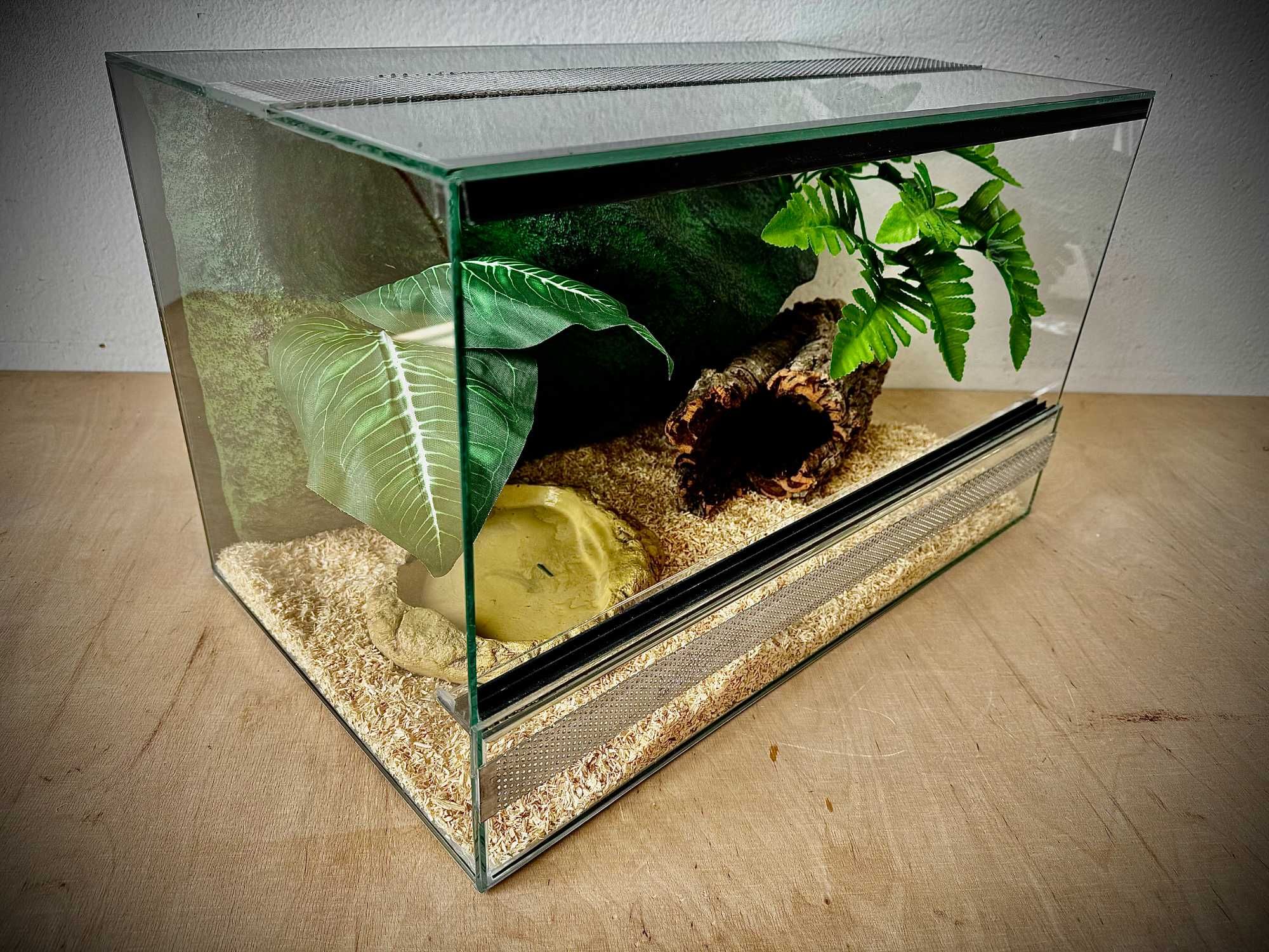 Terrarium szklane z leśnym wystrojem 50x30x30 cm. Dla węży.