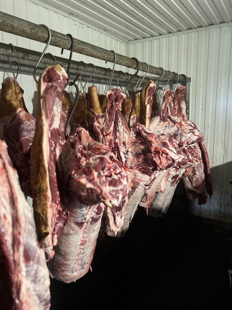 Продам свинину тушки