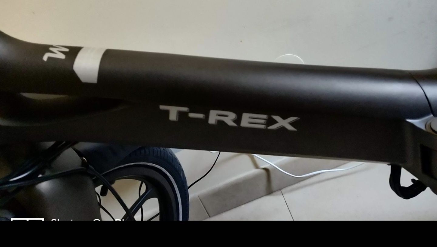 Bicicleta eléctrica