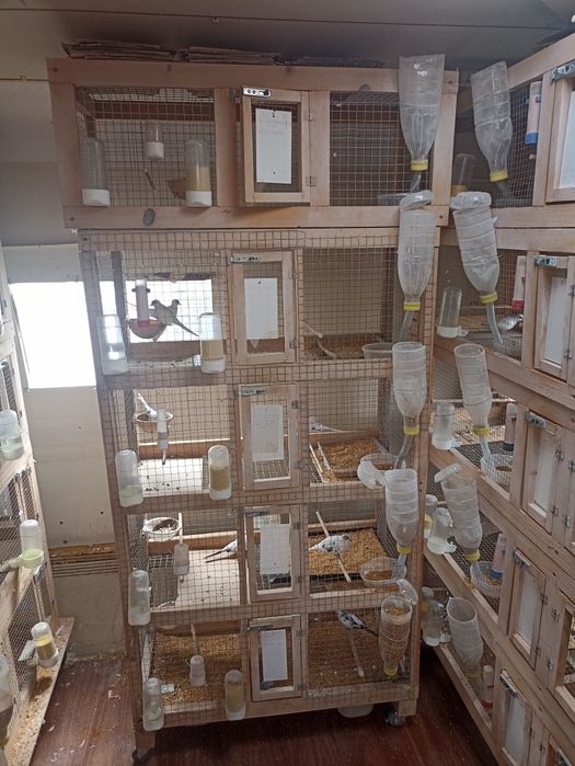 Klatki boksy na drobną egzotyka