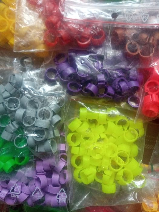 Znaczniki dla gołębi 8 mm