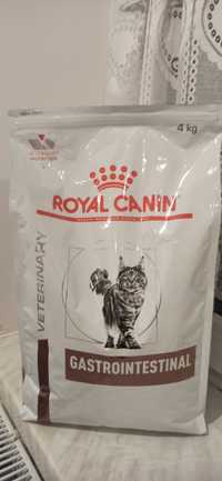 Royal Canin Gastrointestinal sucha karma dla kota