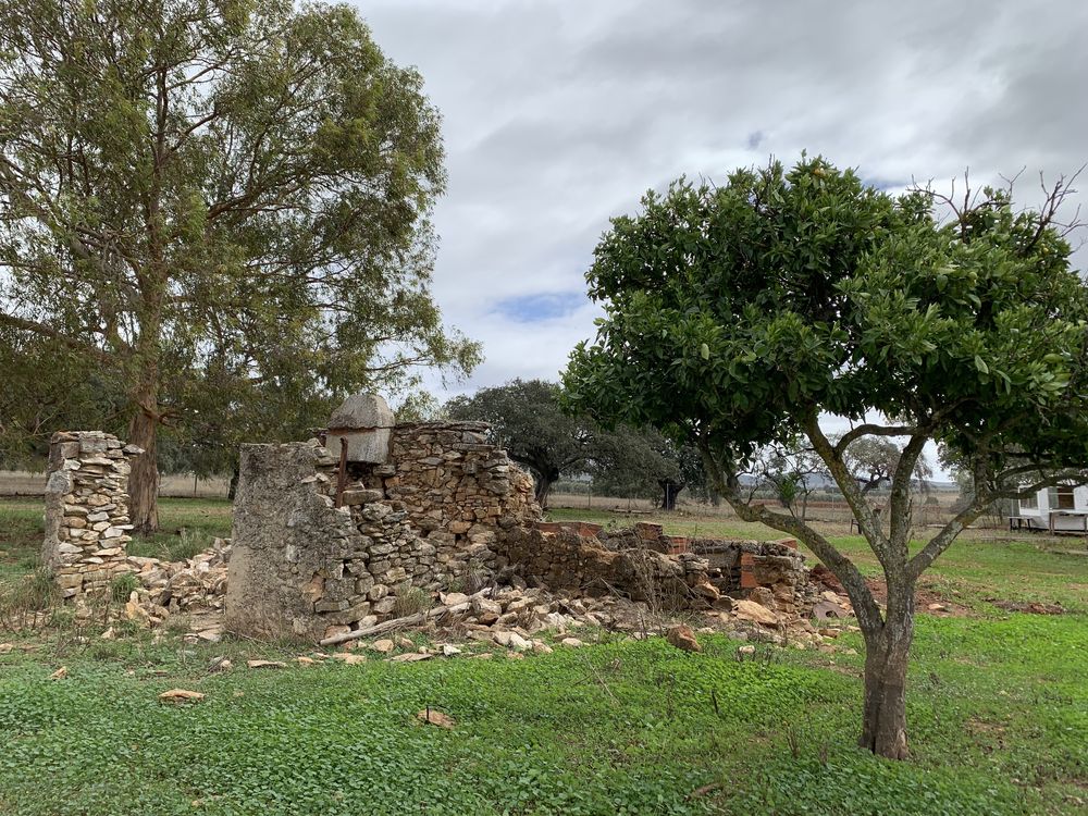 Monte alentejano em Pias com 1,235ha