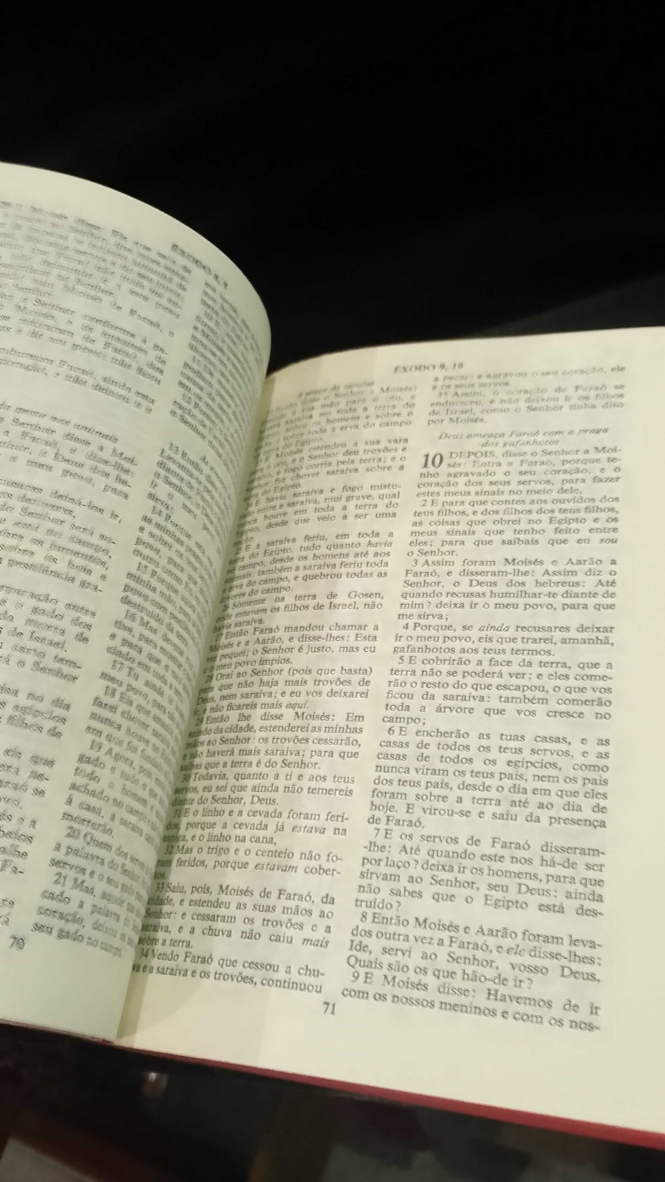 Bíblia Sagrada Velho e novo Testamento