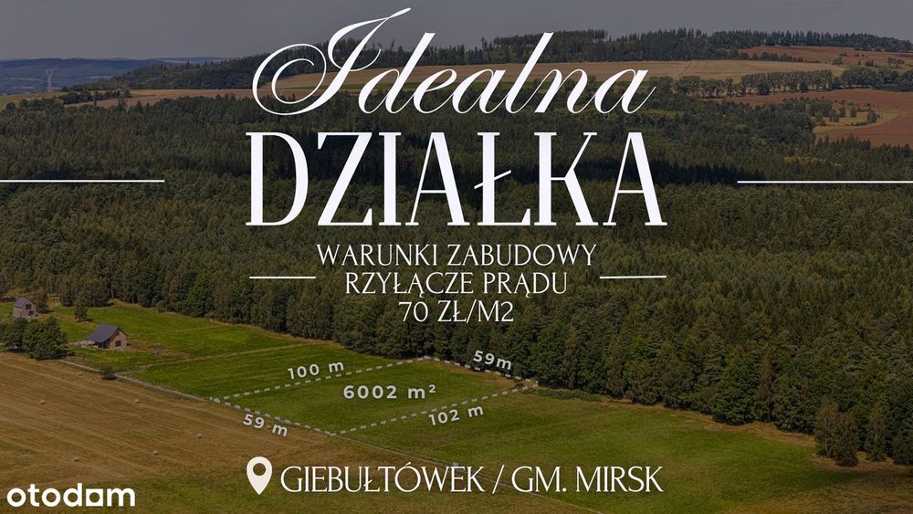 Działka przy lesie z widokiem na Świeradów Zdrój(Mirsk/Leśna/Wolimierz