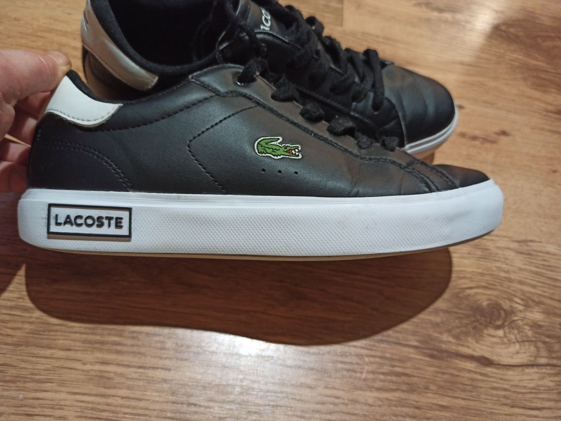 Buty lacoste chłopięce