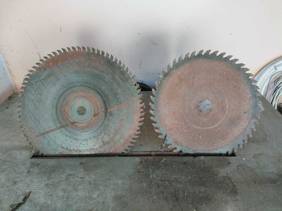 Piła stołowa Krajzega