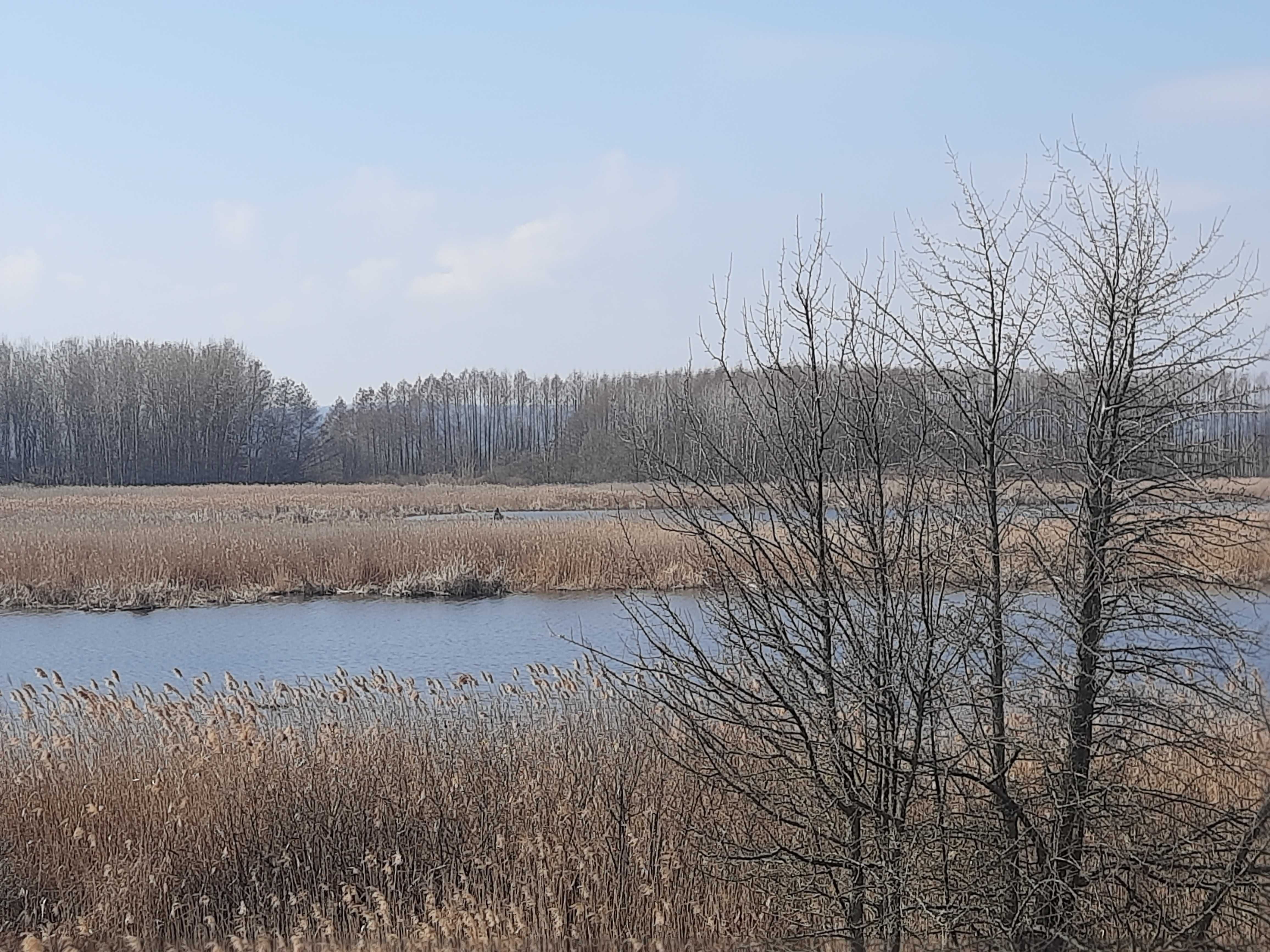 Земельна ділянка під ОСГ пл. 2,0 га с. Головурів Бориспільський р-н