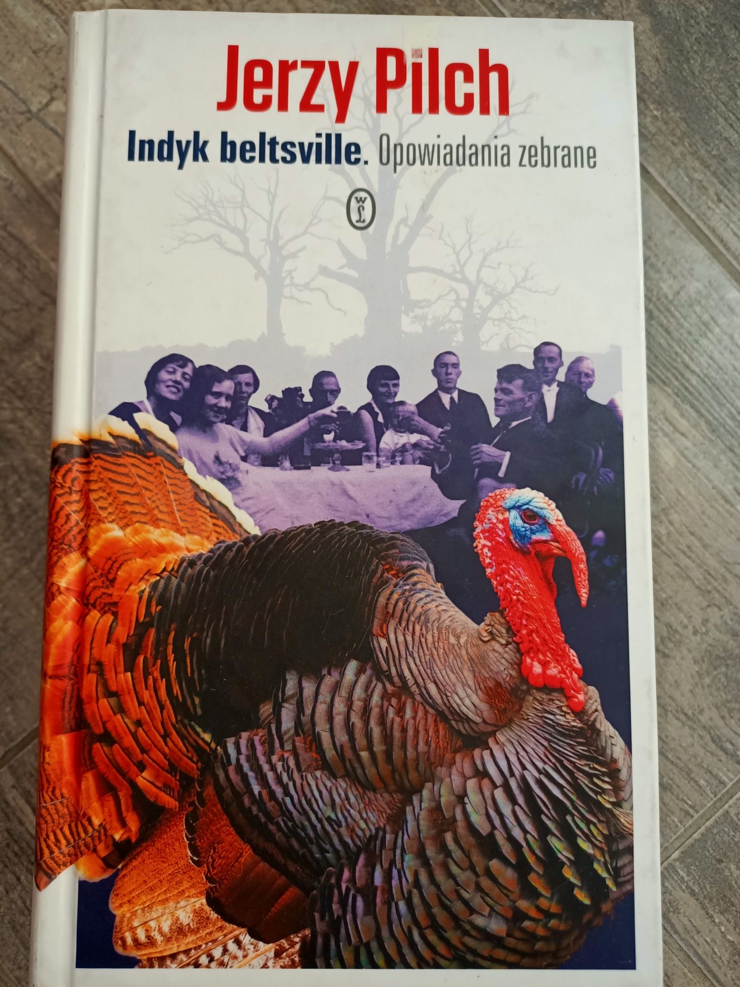 Indyk beltsville Opowiadania zebrane Jerzy Pilch