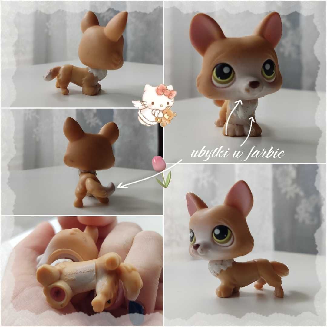 Littlest pet shop corgi