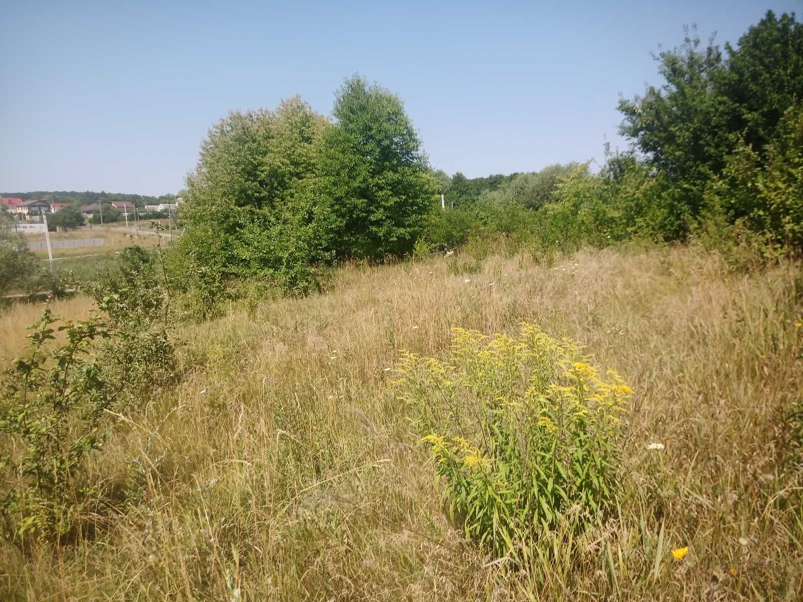 Продається земельна ділянка в Майдан-Чапельский