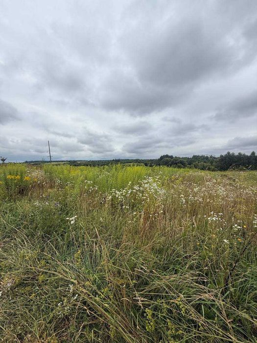 Продаж земельної ділянки село Годовиця 35 соток