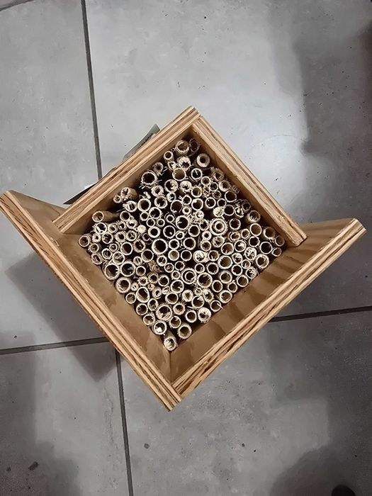 Domek dla pszczół i owadów.