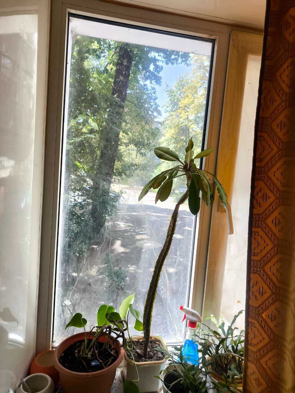 Продам 3-х квартиру, 2 Шевченківський