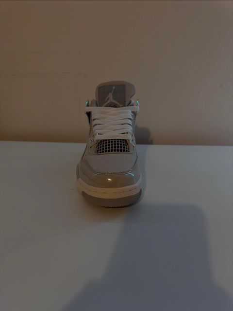 Jordan 4 Frozen Moments