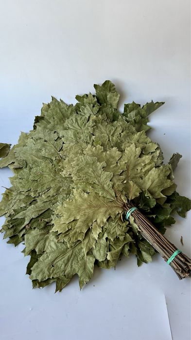 Witki do Sauny, Witkowanie w Saunie, Wenik Bania,