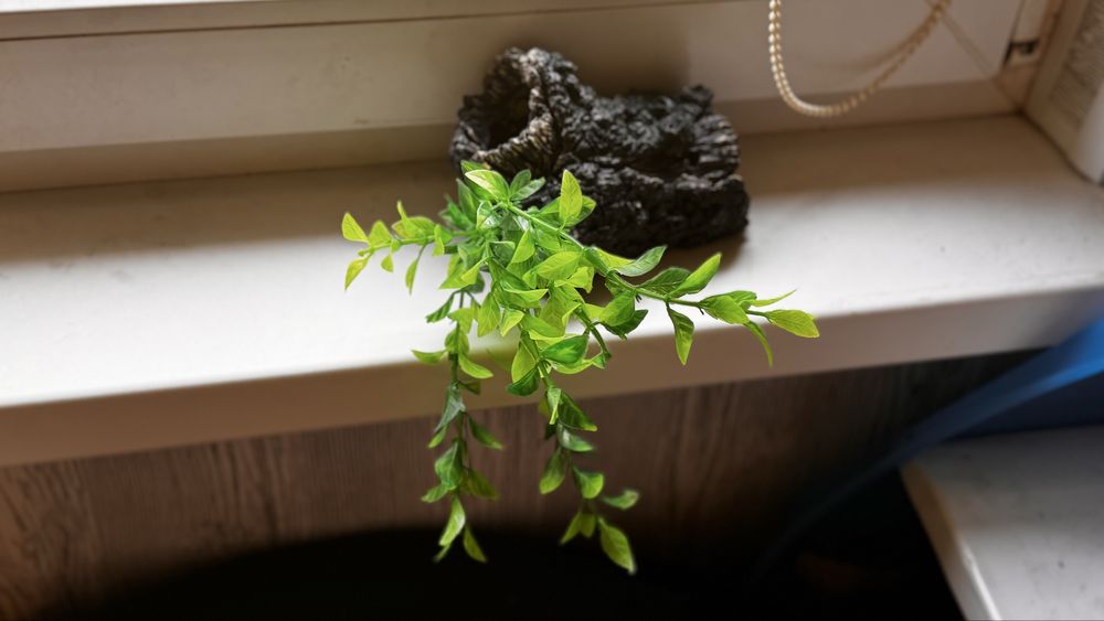 Продам аквариум на 10 л